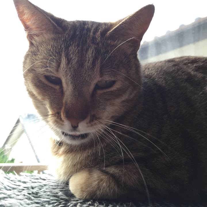 Be868342 807c 48ef 85db 379ff91a6528