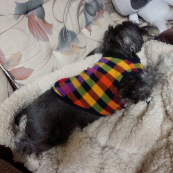 Be86b180 2eb2 47e7 a5d9 5286e82541e5