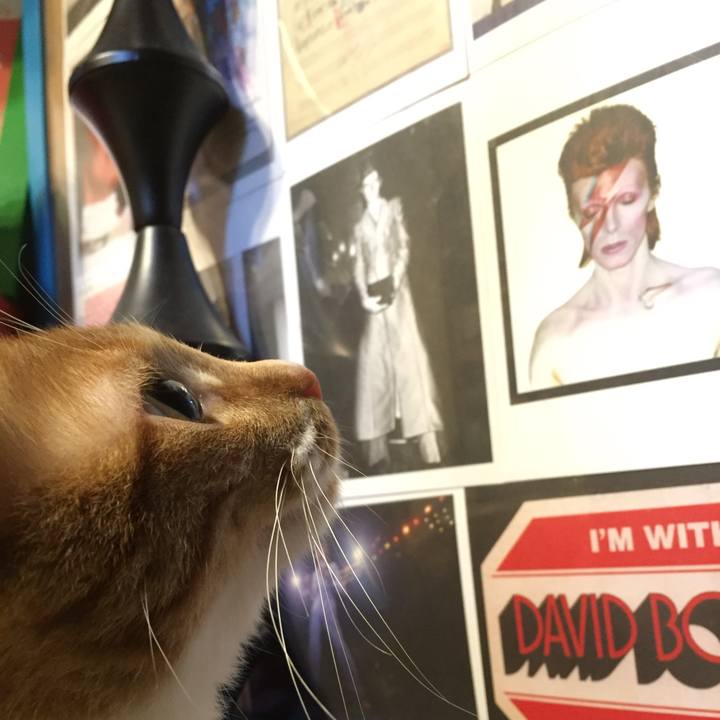 Be86fcd7 831f 4830 bd1c 7f95575f51f7