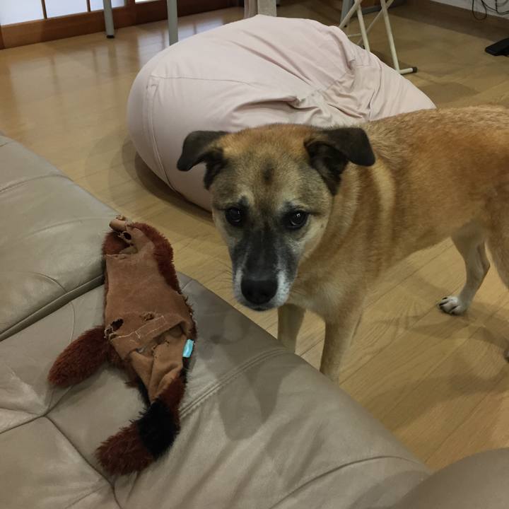 Be883cbb 9709 4b58 a9a2 1547b843c7f2