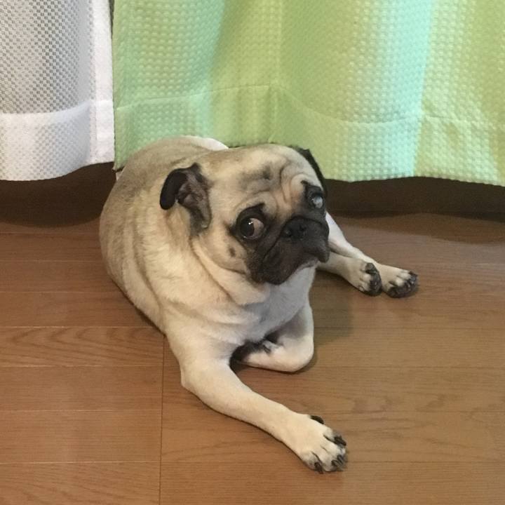 Be885412 69a7 480d a198 e0ccb11981a4