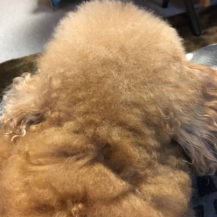 Be895e73 0b50 4d61 9da9 13cb720c62e2