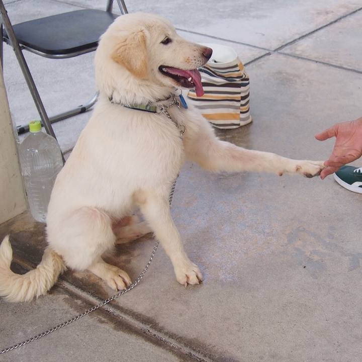 Be8993b1 b276 4476 be2a 634535f80251