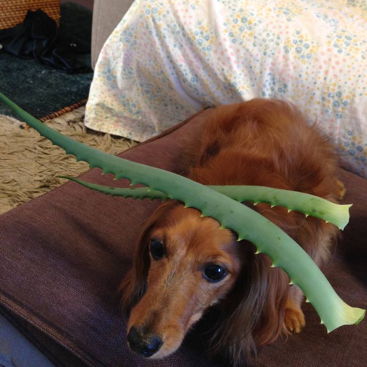 Be89b232 6cee 45d1 b7ba 840c6bf18b4c