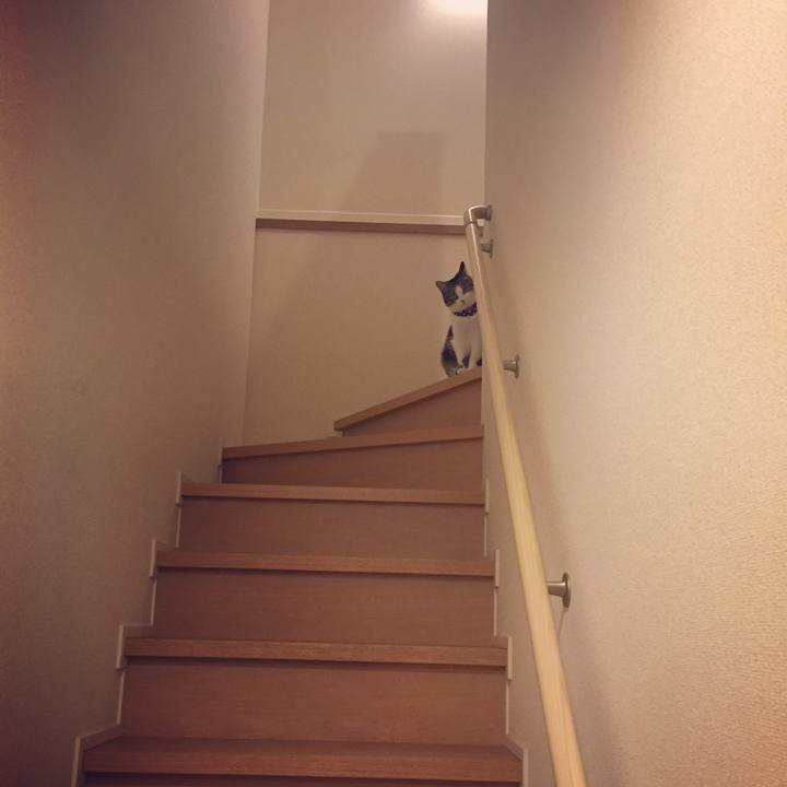 Be8a546c 066c 458c baeb 17c08099e791