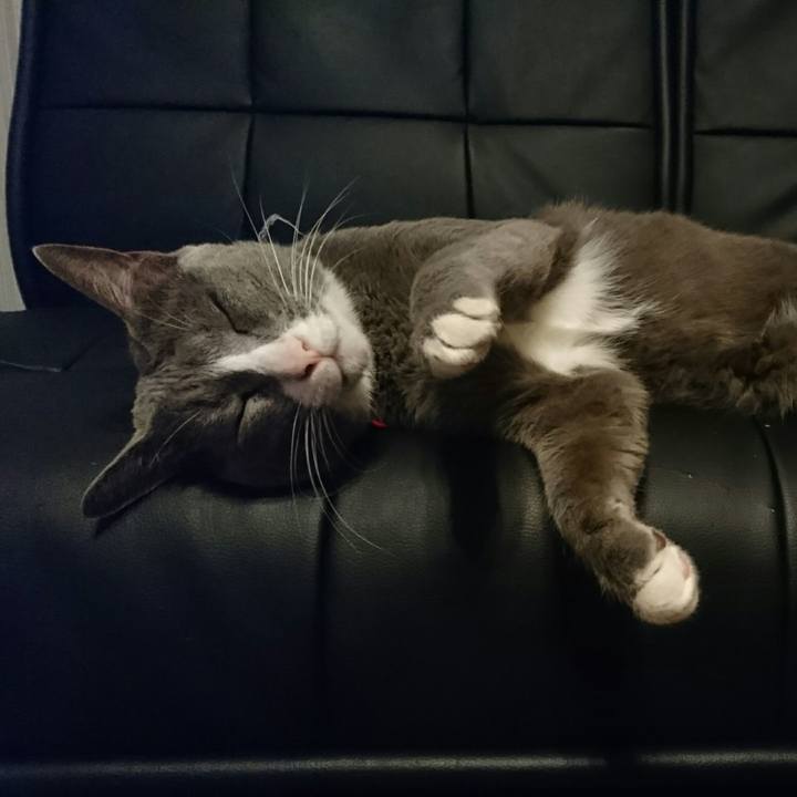 Be8a91d6 618b 412f 9926 7c55d03c5c72