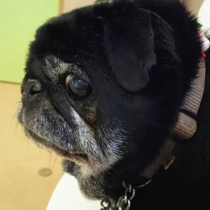 Be8b6a4d 8df8 49f8 be86 3feaef1f01f6