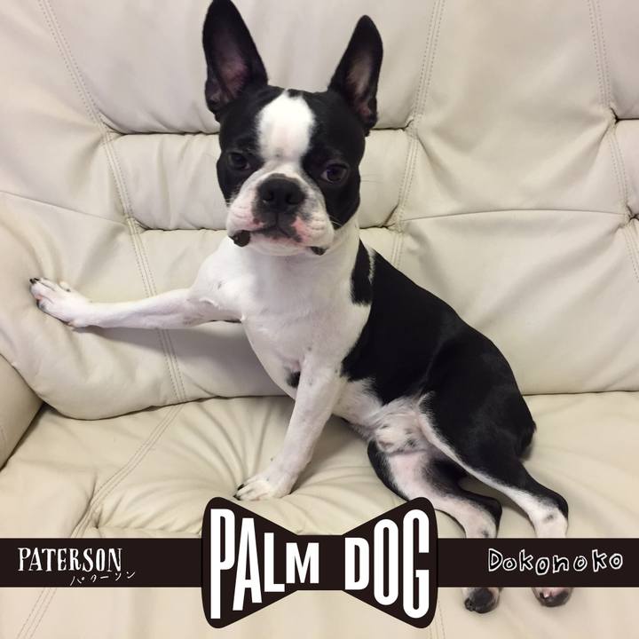 Be8badfd dbfb 4d6c 9fce d9c7c306ec33