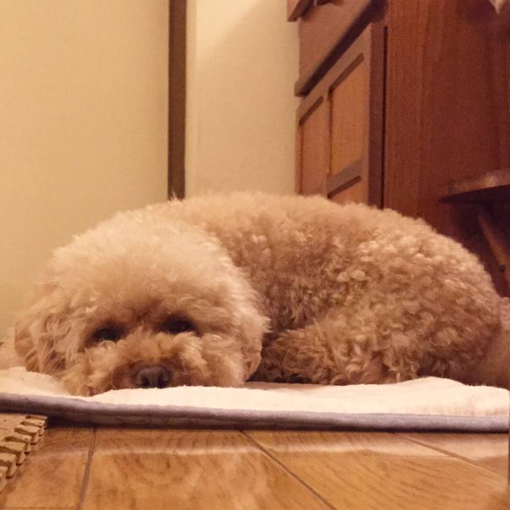 Be8bf8f4 c6a4 41d7 98bd 622ff04c8790