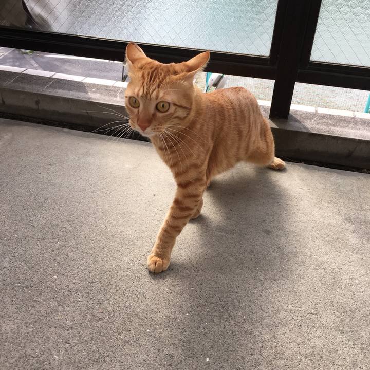 Be8d2570 d794 413c 9150 44914ffce9cc