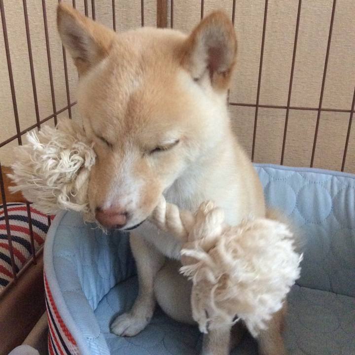 Be8d9bbf e41c 4553 a9d7 96308c94c2c2