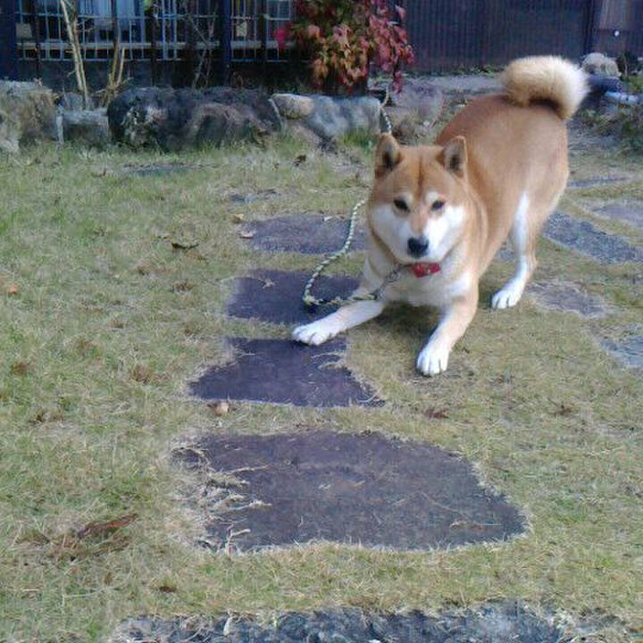 Be8db8cf 0b96 41ed ae91 d4bdbaea4b07