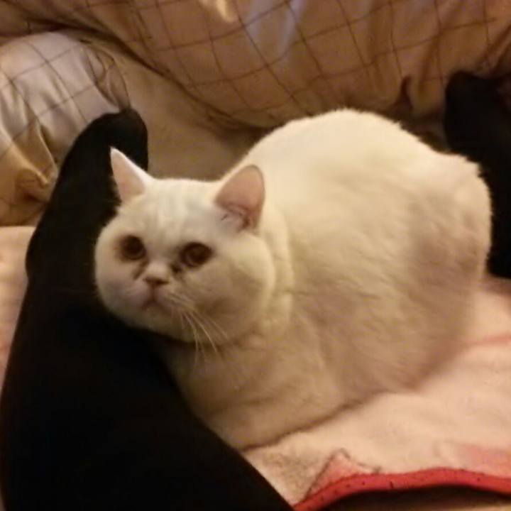 Be8e57f6 c60f 4170 a68d 8c97e65a5a8e