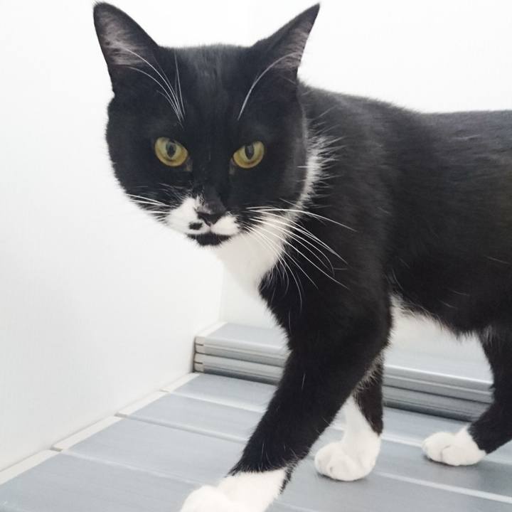 Be8eb3bb 8ee1 45ba 8069 2f0e55976131