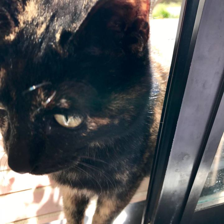 Be8eeaab 2eff 4ca7 98c1 e42898f66ff7