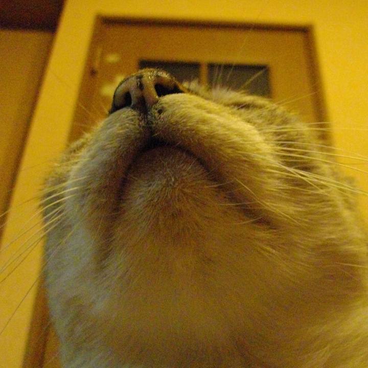 Be8f15ce 4c21 40c7 b31d 815b94cd4d0a