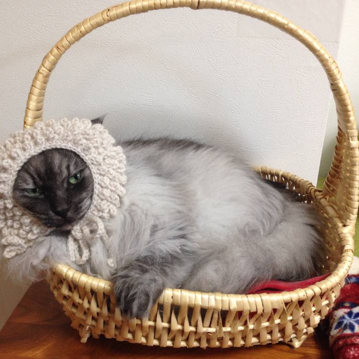 Be8f2a84 02bb 48ff 9152 40ead3f157e8