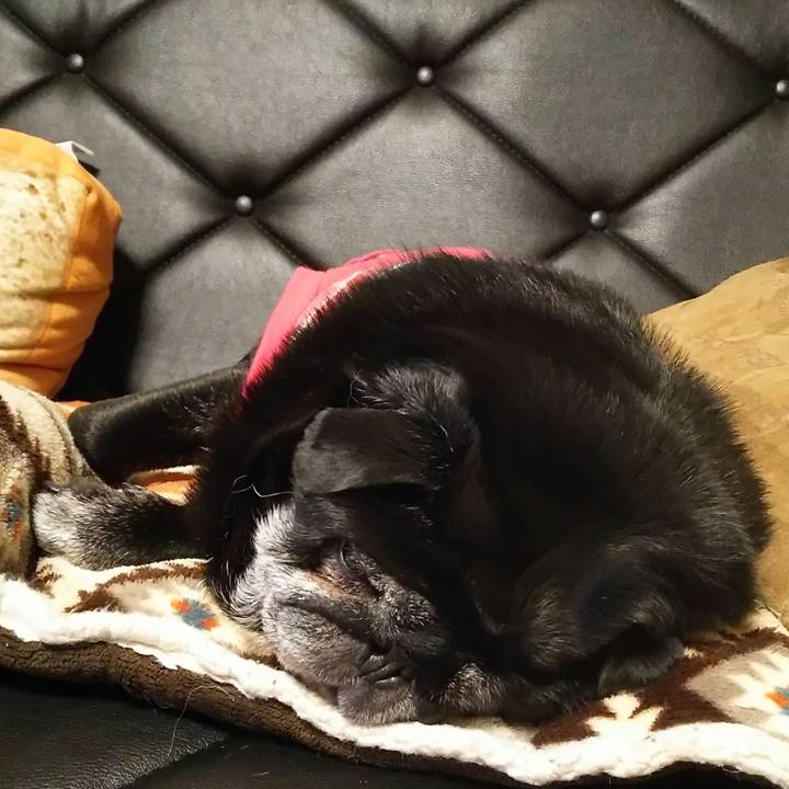 Be90cb7b 12f8 43af ab38 e04aa1f67866