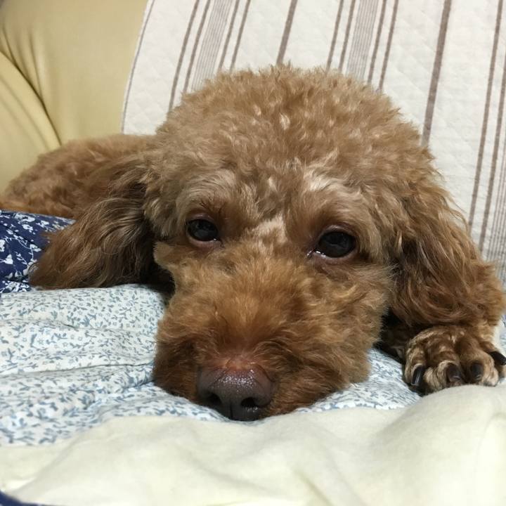 Be9144b8 1321 4f14 bde8 28c44e5de4e4