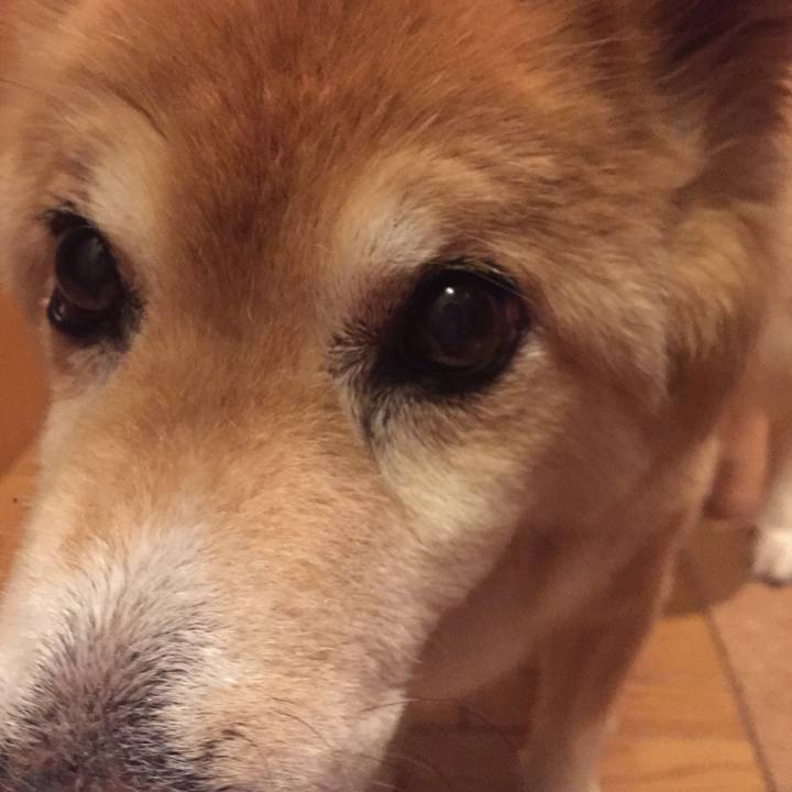 Be9156da 2d37 400e aed4 4e9e5f6df7c4