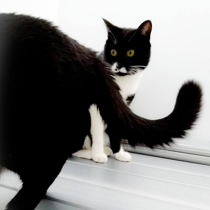 Be918e40 ba47 45b1 bbde fc7698dbb151