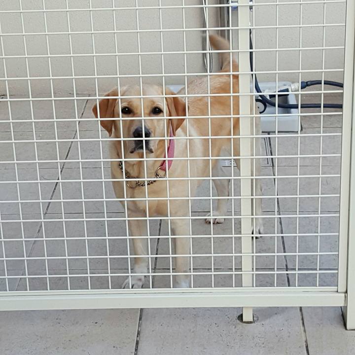 Be91b657 6c99 4f7b b50a b70ad7fd78b2