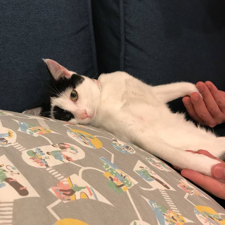 Be9224c4 aa17 40df a97c 12e998cc0215