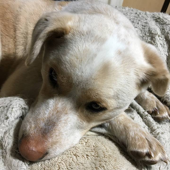 Be93464b ecee 4860 a034 a2c55444c5fa