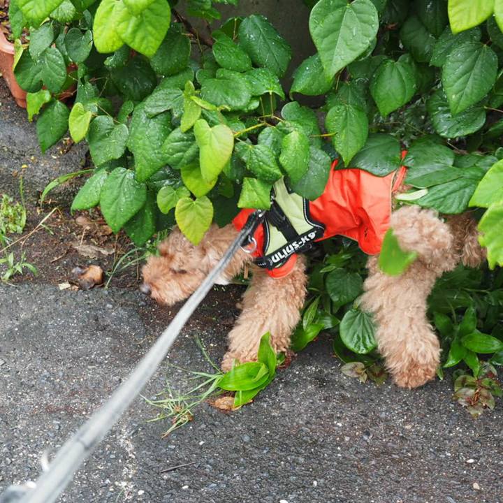 Be93e75c 0299 4fc0 bfe4 fa66e3596438