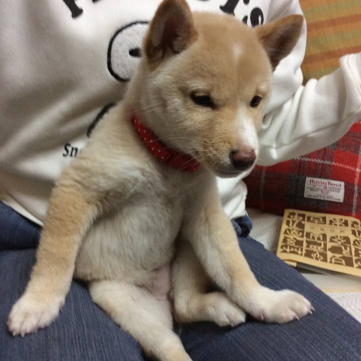 Be943874 a3e4 418a a338 90a9d64f691e