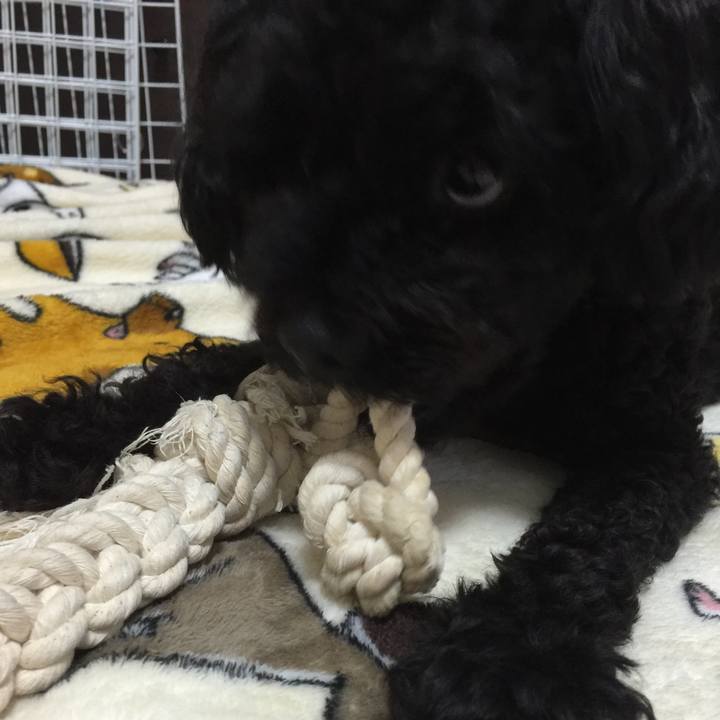 Be94d0bf 9cb7 4738 8619 29eedf9435bc