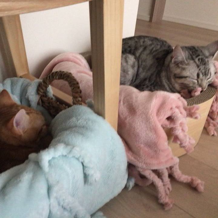 Be94d6b2 0f84 4b64 9df2 8e70ca763b7d