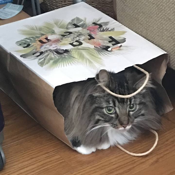 Be94f56b a9c7 4968 b7dc ae81c5c16450