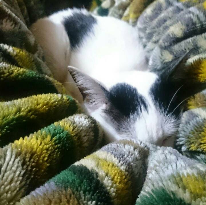 Be9558a5 591e 4f0d a993 36ed47ff4507