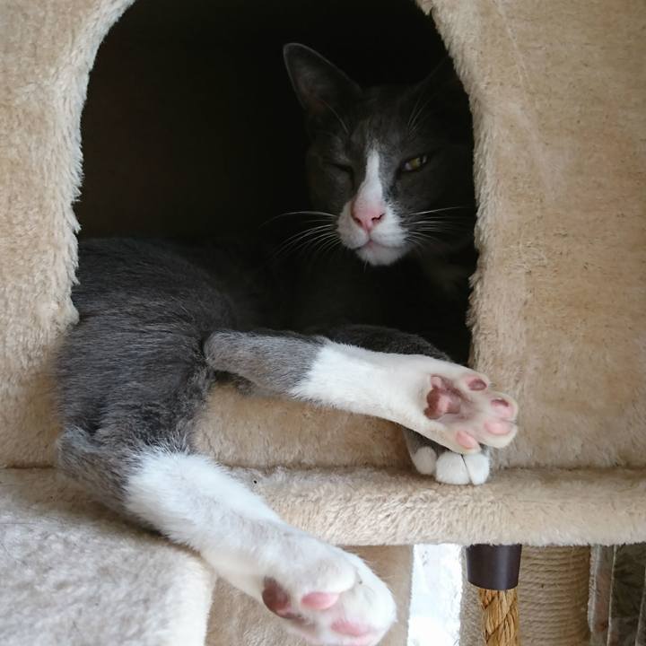 Be955f43 0db5 4d85 81a8 f5803bf4a539