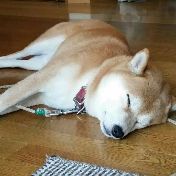 Be95ddd5 eb9a 4af6 afda afadc101fdca