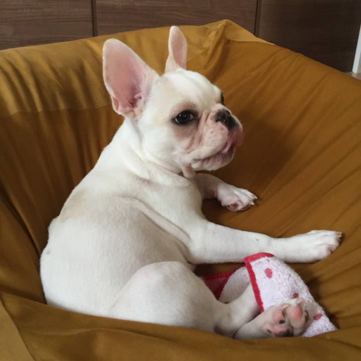 Be96f0d1 aa16 4184 bcea c5a9467e5d07