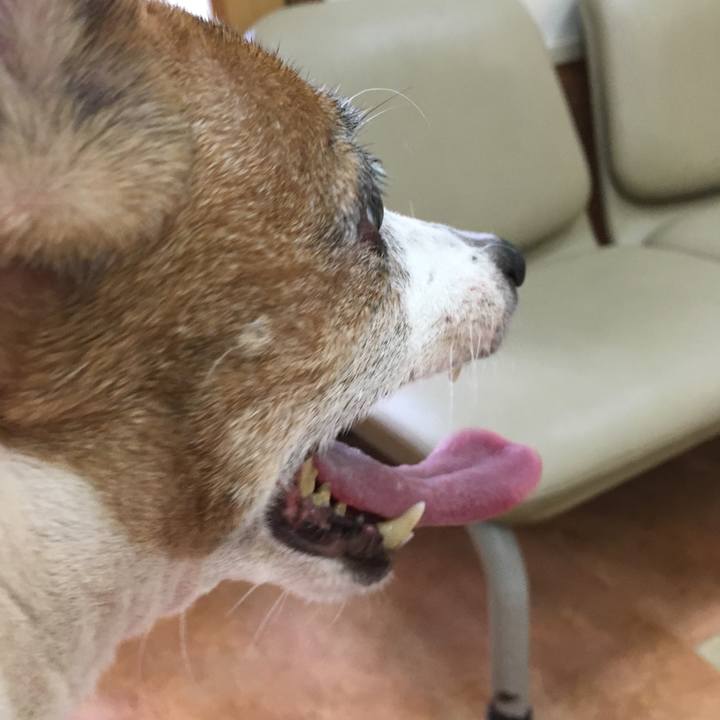 Be970b2a a57b 4b2d a748 77791df15e06