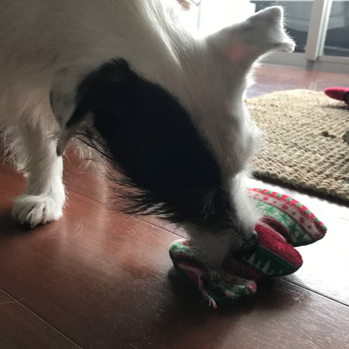 Be973ca9 cbd6 42c3 9196 52c5d07a5a02