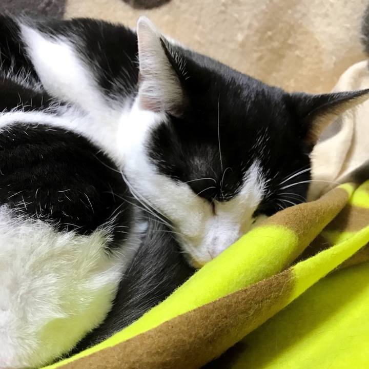 Be978195 bc91 425c bfe3 451de1b91a05