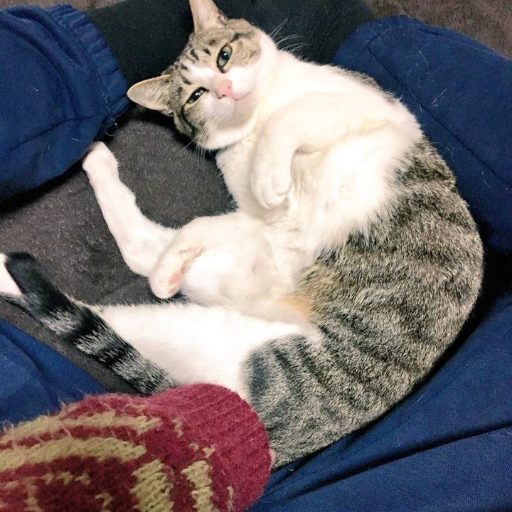 Be978dec c470 4c49 8a23 b1418a8a5d97