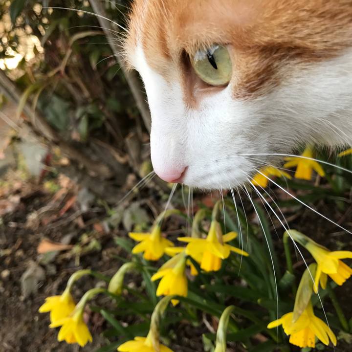 Be97bc7e 905c 4870 ae9e 1e85a119647d