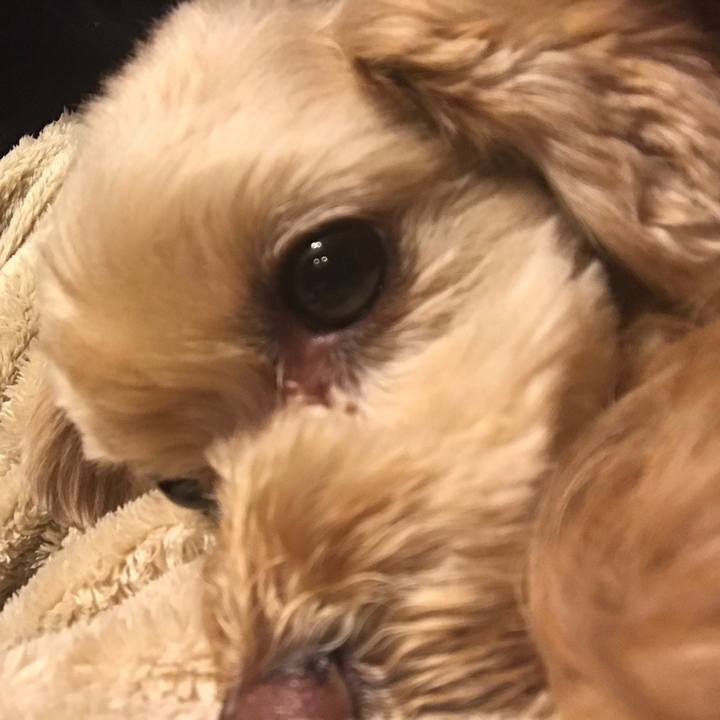 Be99ec61 89a9 4f80 b333 a86edae81806