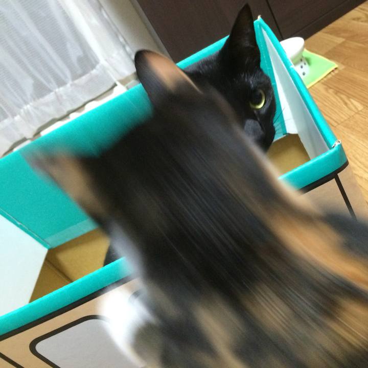 Be9a3c28 37b4 42a0 85dc eb0c7065f24e