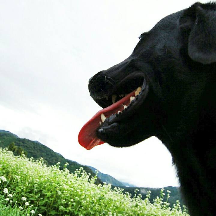 Be9a888d d8d3 4de8 a61d 75a434ae5371