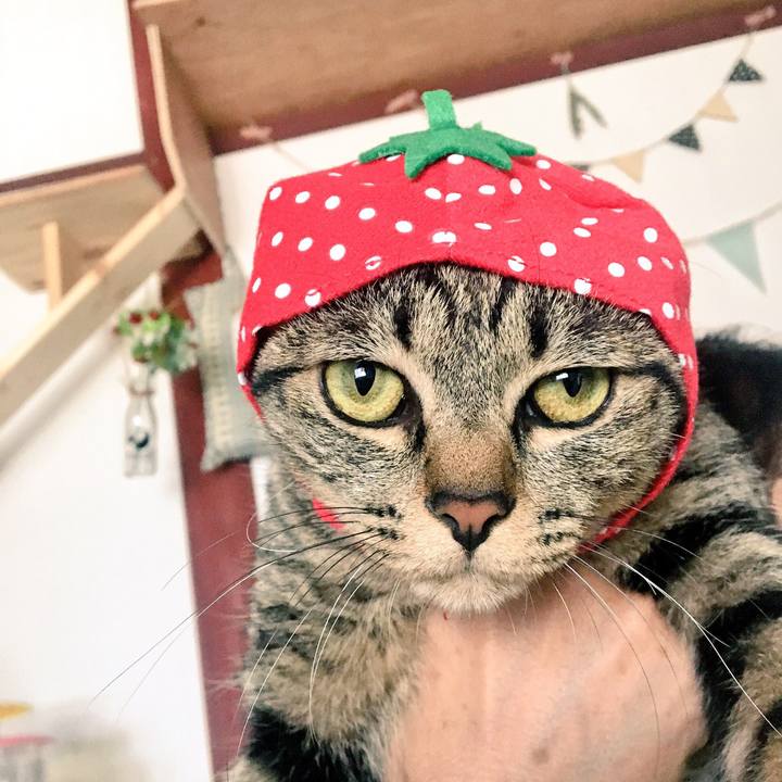 Be9a8ae1 b6c5 4135 9485 15039314158a