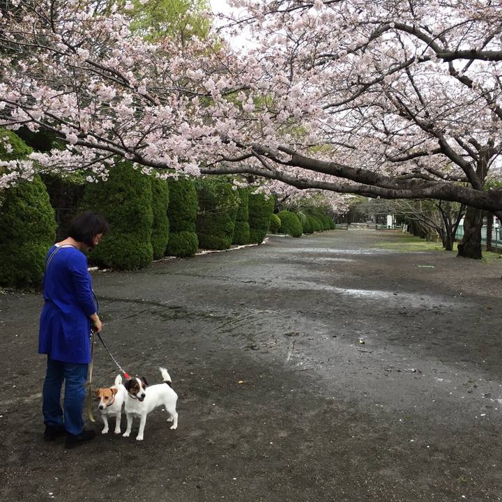 Be9c7daa 159e 411c b4f4 857d6e8648a3