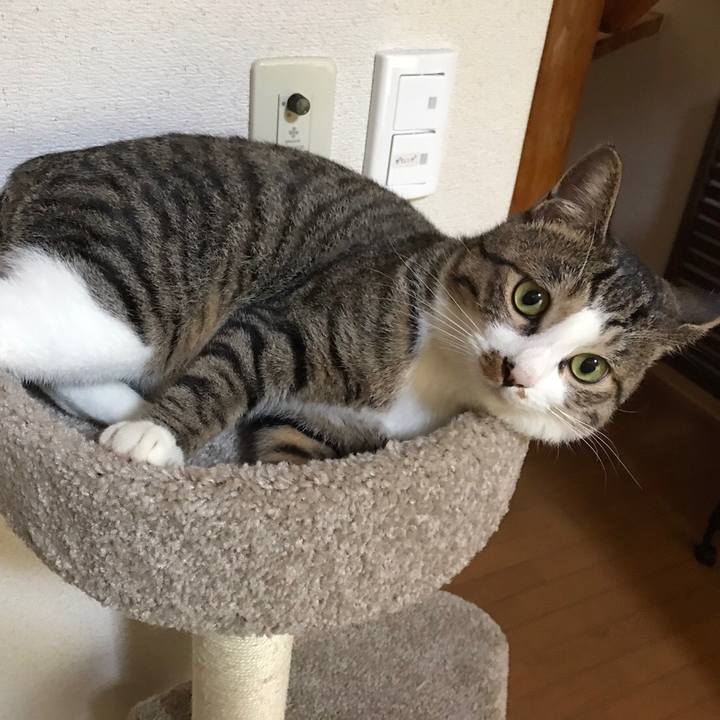 Be9cce84 e37d 4819 8bca 9d7ce81abd39