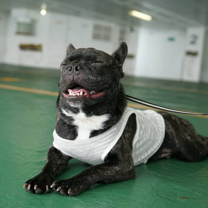 Be9d6355 38ef 4c07 a1b9 a9b51069afa4