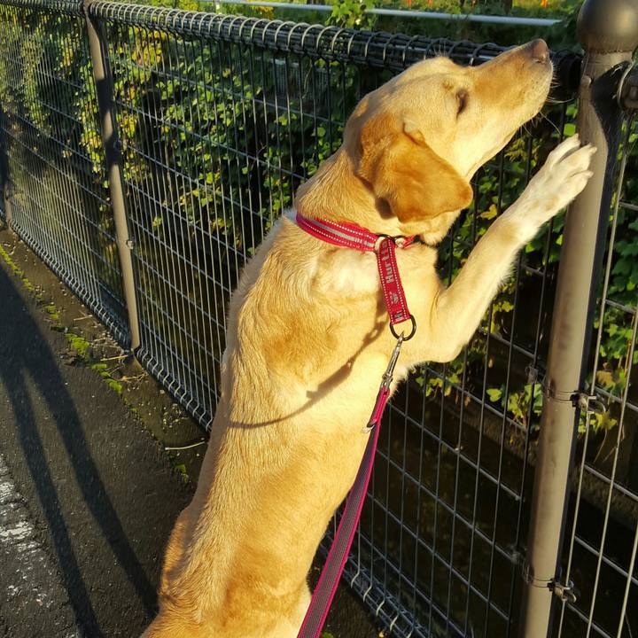 Be9d9024 2920 4f75 8593 bce341a6f901